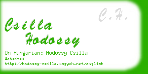 csilla hodossy business card